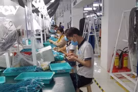 Doanh nghiệp trong khu chế xuất, khu công nghiệp tại TP. Hồ Chí Minh đã hoat động trở lại