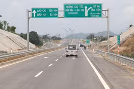 Bộ GTVT đồng ý trồng cọ dọc cao tốc Nội Bài - Lào Cai đoạn qua tỉnh Phú Thọ