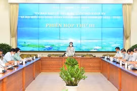 TP. HCM: Tiếp nhận gần 230 hồ sơ ứng cử đại biểu Quốc hội, đại biểu HĐND
