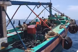 Bà Rịa – Vũng Tàu: Bắt giữ tàu cá chở 3.000 lít dầu lậu trên vùng biển Côn Đảo