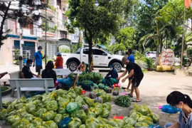 Bài 1: Vì nghĩa đồng bào mà dốc lòng dốc sức...