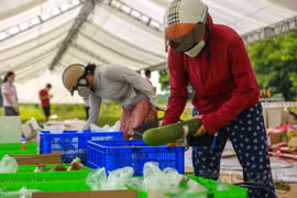 Hà Nội: Nhiều điểm bán hàng lưu động được triển khai phục vụ hàng hóa thiết yếu cho người dân
