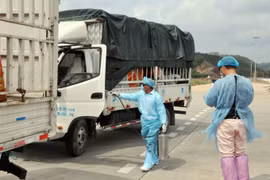 Trung Quốc tạm ngừng nhập khẩu thanh long Việt Nam qua cửa khẩu Cầu phao tạm Đông Hưng