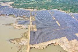 T&T Group đồng loạt hòa lưới 3 nhà máy điện mặt trời