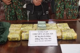 Hà Tĩnh: Bắt đối tượng thuê xe ô tô vận chuyển 11 kg ma túy ra Hà Nội tiêu thụ