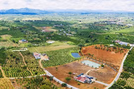Nở rộ phân lô bán nền trái phép: Bộ TN-MT đưa nhiều địa phương vào "tầm ngắm"