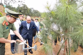Chủ tịch nước Nguyễn Xuân Phúc phát động trồng cây “Đời đời nhớ ơn Bác Hồ”