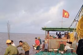 UBND TP. Hải Phòng ra “tối hậu thư”, người dân vẫn kêu cứu