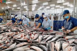 Cá tra, basa Việt Nam không bị áp thuế chống bán phá giá
