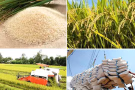 Bất ngờ ngành nông nghiệp vẫn xuất khẩu hơn 24 tỷ USD trong 6 tháng đầu năm