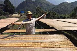 Miến dong chất lượng cao hướng tới thị trường Mỹ, EU