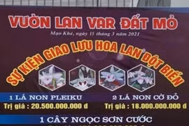 Ngành thuế đưa giao dịch lan đột biến vào “tầm ngắm”