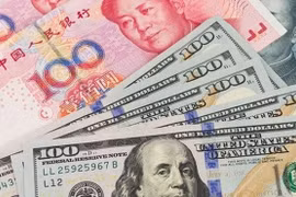 Tỷ giá ngoại tệ hôm nay 15/8: Đồng USD giảm giá phiên cuối tuần