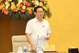 Sớm nghiên cứu sửa đổi, bổ sung Luật Bầu cử đại biểu Quốc hội và đại biểu Hội đồng nhân dân