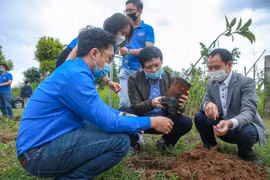 Tuổi trẻ thanh niên cơ quan Trung ương Hội Nhà báo Việt Nam phát huy tinh thần xung kích, cống hiến