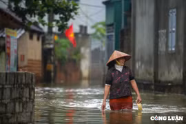 Hà Nội: Nước sông dâng cao gây ngập ở Chương Mỹ, hơn trăm hộ dân bị cô lập