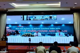 Lỗ lũy kế hàng nghìn tỷ đồng sau nhiều năm làm nông nghiệp, 'bầu Đức' lần đầu nhận sai khi bỏ BĐS