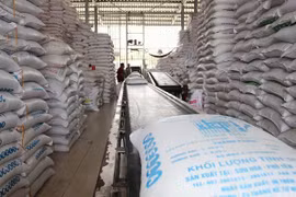 Ngành Dự trữ Nhà nước: Xuất cấp kịp thời hàng dự trữ quốc gia