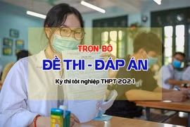 Đáp án đề thi môn Lịch sử tốt nghiệp THPT 2021, mã đề 313 (tham khảo)