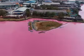 Bà Rịa-Vũng Tàu: Xử phạt 372 triệu đồng doanh nghiệp làm nước hồ đổi màu hồng