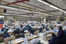 Công ty Cổ phần Đầu tư và Thương mại TNG: Vững vàng vượt bão