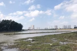 Hà Nội phải báo cáo Thủ tướng về Dự án Khu giáo dục Nguyễn Trãi trước ngày 31/3/2021
