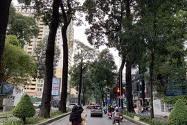 TP. HCM: Thời tiết chuyển lạnh