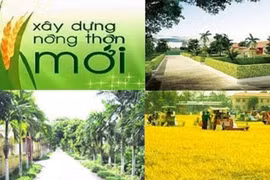 Lập Ban Chỉ đạo Trung ương các chương trình mục tiêu quốc gia giai đoạn 2021 – 2025