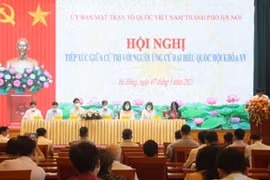 Lựa chọn hình thức tiếp xúc cử tri phù hợp với yêu cầu của phòng, chống dịch Covid-19