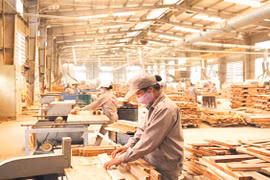 Xuất khẩu lâm sản 3 tháng đầu năm tăng 41,5%