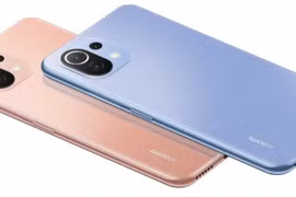 Xiaomi Mi 11 Lite có thêm phiên bản hỗ trợ mạng 5G
