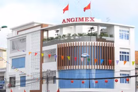 Angimex (AGM) bị HoSE nhắc nhở về việc tạm hoãn trả cổ tức 2020
