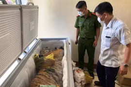 Hà Tĩnh: Phát hiện hổ đông lạnh nặng 160kg trong nhà dân