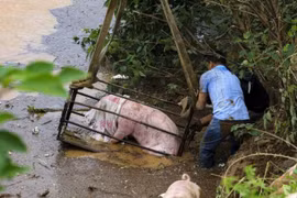 Cơn lũ tử thần cuốn trôi toàn bộ kế sinh nhai của người dân Hà Nam, Trung Quốc