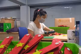 Hàng nghìn tai giả đeo khẩu trang từ Hà Nội gửi tặng TP.HCM chống dịch