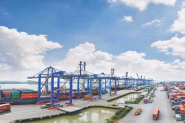 Kinh tế Việt Nam có thể bị tụt hậu nếu không triển khai tiêm chủng đại trà