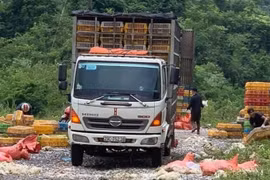 Hòa Bình: Phát hiện đối tượng vứt gần 4 tấn gà chết xuống lề đường