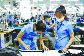 Chắt chiu những “vùng xanh” cho “mục tiêu kép”