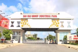Đầu tư mạnh vào Thanh Hoá, Sao Mai Group lợi nhuận đạt thấp nhất trong 2 năm gần đây