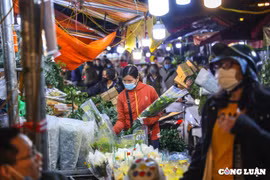 Tấp nập chợ hoa Quảng An trước ngày Phụ nữ Việt Nam 20/10