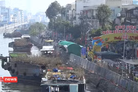 TP.HCM: Lo ngại Covid-19, chợ hoa xuân "Trên bến dưới thuyền"... đìu hiu