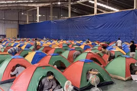 Kiến nghị thay thế mô hình “3 tại chỗ” vì chi phí cao