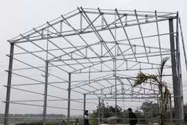 Quyết liệt xử lý vi phạm đất đai, trật tự xây dựng