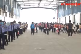 Phát huy hiệu quả chính sách hỗ trợ về BHXH, BHTN cho người lao động và người sử dụng lao động
