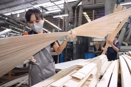 Cảnh báo 10 mặt hàng xuất khẩu bị áp dụng biện pháp phòng vệ thương mại