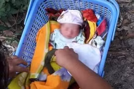 Hà Tĩnh: Bé gái sơ sinh bị bỏ rơi ở gốc cây xoài