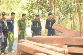 Điều tra 2 vụ phá hàng chục nghìn ha rừng tại huyện Ea Kar và Ea Suóp