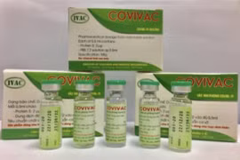Dự kiến ngày 3/3 sẽ tiêm thử nghiệm vắc xin COVIVAC trên người