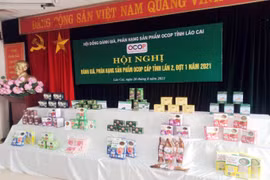 Lào Cai có 100 sản phẩm đạt tiêu chuẩn OCOP của Nhật Bản