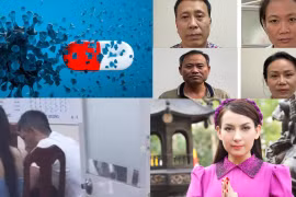 Nóng 18h: Pfizer thử nghiệm lâm sàng thuốc viên kháng virus SARS-CoV-2,Ca sĩ Phi Nhung đã qua đời vì Covid-19
